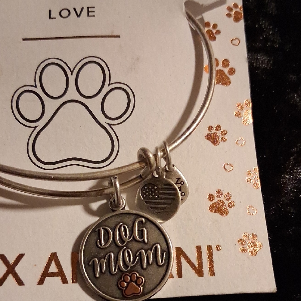 Alex and Ani Silver and Orange Dog Lover's Charm